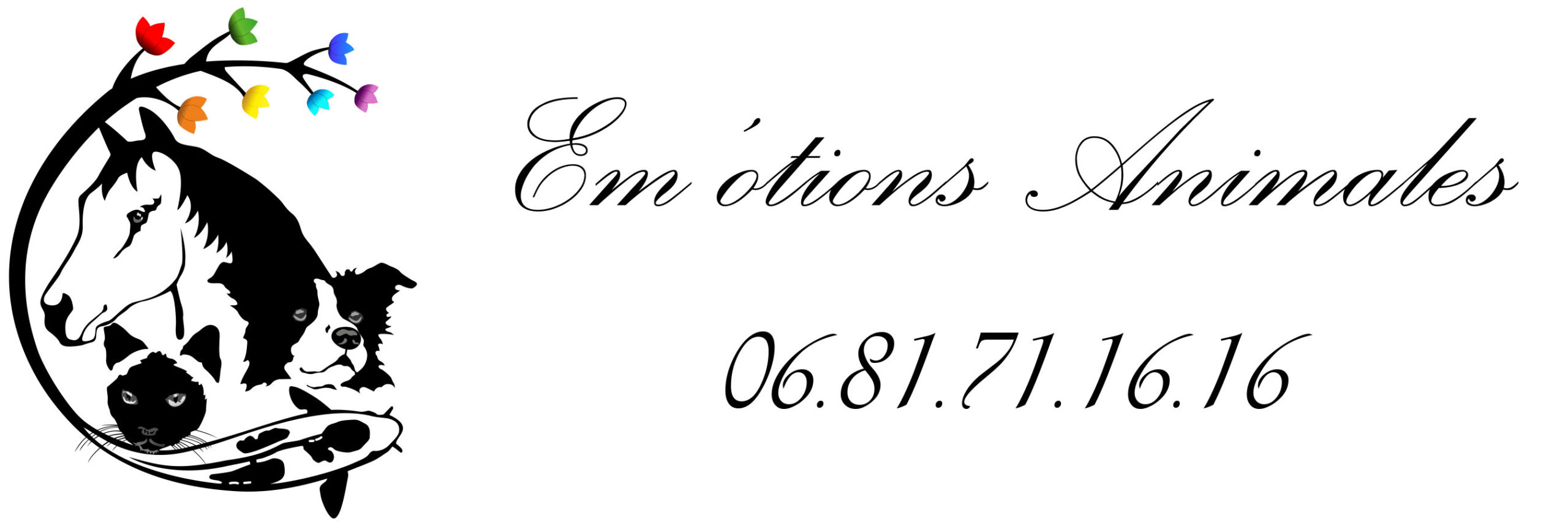 Ergyvet est en partenariat avec em otions animales, site de bien-être du chien