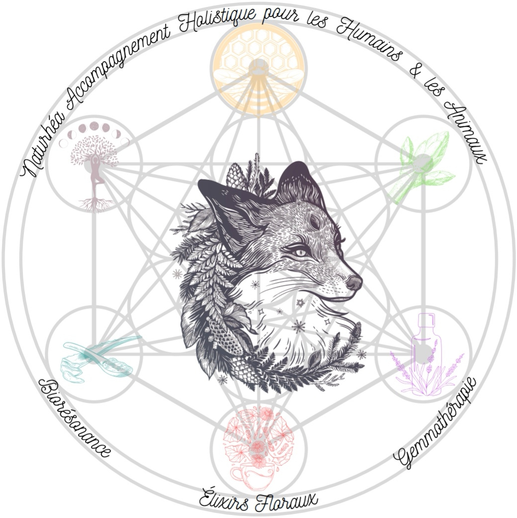 Ergyvet est en partenariat avec ppodologie equine libre, site de bien-être du chien